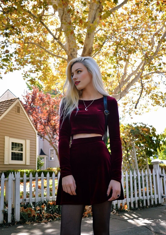 Evening Dress Velvet Dress Two Piece Set Crop Top and Skirt Set Long Sleeve Formal Dresses Wedding Guest Dress