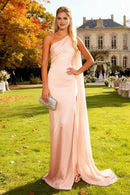 Charming Prom Dress Pink Mermaid One Shoulder Sleeveless with Cape Backless Bargain Long Wedding Guest Dress