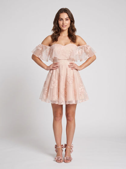 Blushing Pink Embroidered Lace & Tulle A-Line Off-the-Shoulder Mini Dress Front View - Aabei Dress