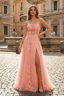 Blushing Pink Tulle with Lace Appliques A-Line Sweetheart Floor-length Dress - Aabei Dress
