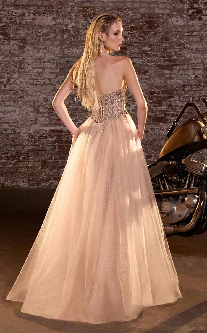 Champagne Glitter Tulle A-Line Sweetheart Low-Back Floor-Length Dress Back View - Aabei Dress
