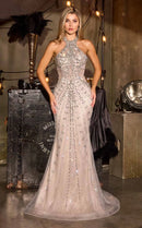 Champagne Mesh Mermaid Halter Open Back Floor-Length Dress Front View - Aabei Dress