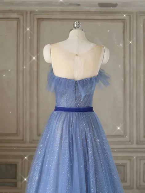 Dusty Blue Glitter Tulle A-Line Illusion Neck Illusion Back Floor-Length Dress Back View - Aabei Dress
