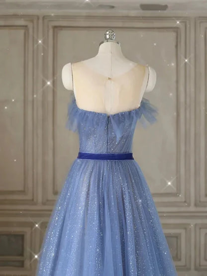 Dusty Blue Glitter Tulle A-Line Illusion Neck Illusion Back Floor-Length Dress Back View - Aabei Dress