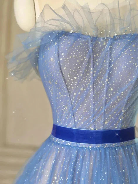 Dusty Blue Glitter Tulle A-Line Illusion Neck Illusion Back Floor-Length Dress - Aabei Dress