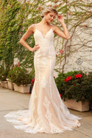 Champagne Mermaid V-Neck Spaghetti Strap Deep Open Back Lace Wedding Gown