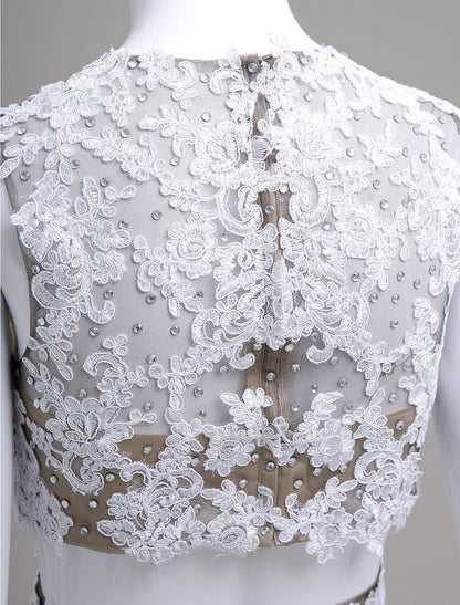 Chic Plus Size Two-Piece Lace Beaded Short Homecoming Dress.