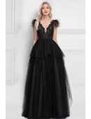 Elegant A-Line black prom dress with V-neck and feather appliques.