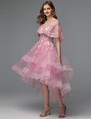 Elegant Black A-Line Illusion Neck Asymmetrical Lace Midi Dress.